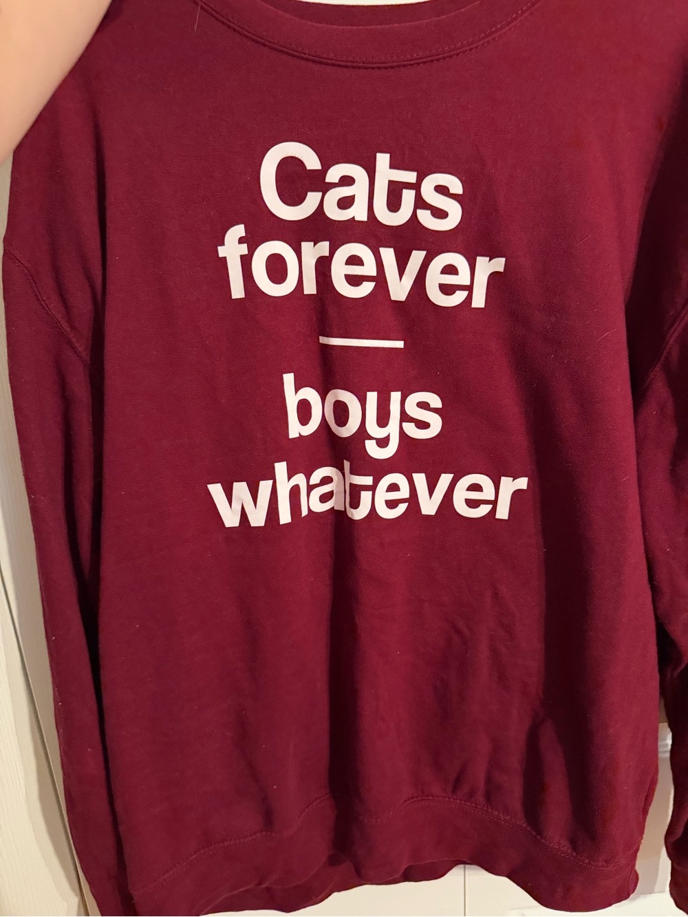Cats Forever boys whatever Burgundy Graphic Sweatshirt - Unbranded